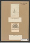 Coscinodiscus hungaricus var. szaboi (Pant.) Rattr. (de-Toni-Nr.: Genus 202, Species 5126) Zeichnungen Sammlung Grunow Nr. 8884 (NHMW-BOT-W0378532)